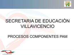 SECTOR EDUCACION VIGENCIA 2006-2007
