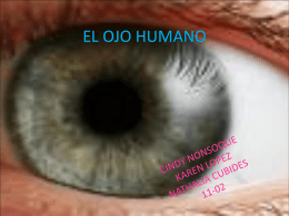 EL OJO HUMANO - fisica11cb2015