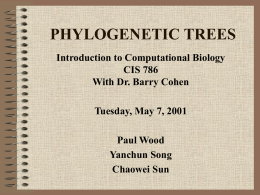 PHYLOGENETIC TREES - New Jersey Institute of Technology