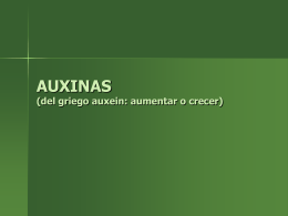 AUXINAS - REGULADORES DE CRECIMIENTO | Just …
