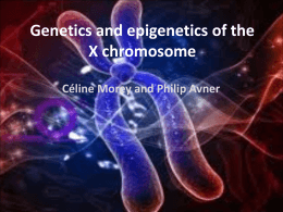 Genetics and epigenetics of the X chromosome