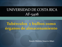 Universidad de Costa Rica AF-5408