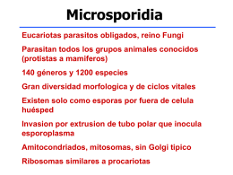 Microsporidia - Instituto de Higiene