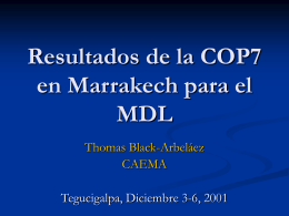Resultados de la COP7 en Marrakech