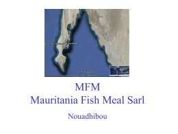 MFM Mauritania Fish Feal Sarl