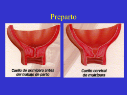 Preparto - obstetriciahual