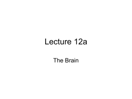 Lecture 13. - North Seattle College