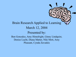 Brain Friendly Learning Environments