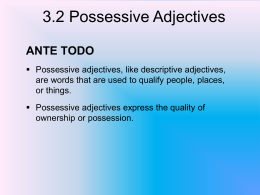 3.2 Possessive Adjectives