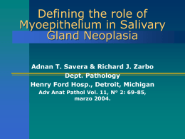 Defining the role of Myoepithelium in Salivary Gland …