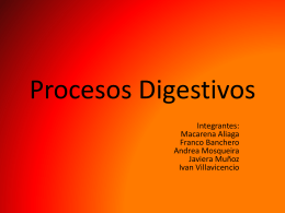 Procesos Digestivos
