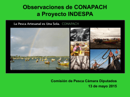 Observaciones de CONAPACH a Proyecto INDESPA