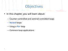 Understanding the Loop in a Program’s