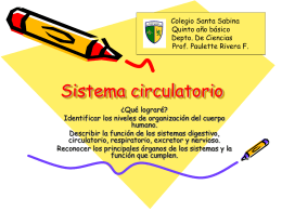 Sistema circulatorio - Colegio Santa Sabina