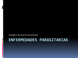 ENFERMEDADES PARASITARIAS