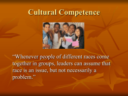 CULTURAL COMPETENCE - Minnesota State University …