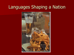 Language Shaping a Nation. The case of Belgium.