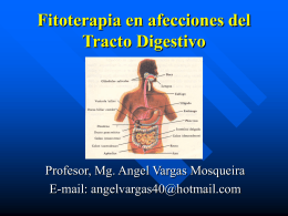 Fitoterapia en afecciones del Tracto Digestivo