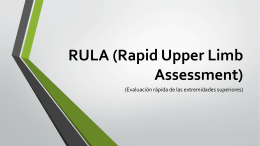 RULA (Rapid Upper Limb Assessment)