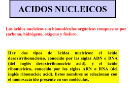 ACIDOS NUCLEICOS