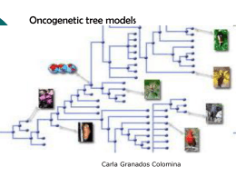 Oncogenetic Tree Models
