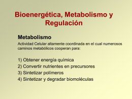 Bioenergetica y Metabolismo