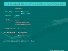 Diapositiva 1 - Facultad de Medicina