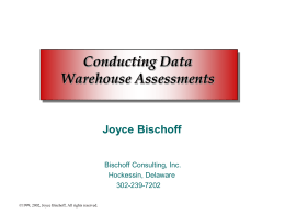 Data Warehouse Assessments