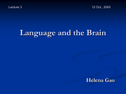 Chapter 9 Language and the Brain Second Edition …