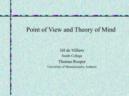 Point of View and Theory of Mind