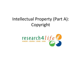 Intellectual Property: Copyright & Plagiarism