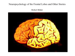 Frontal Lobe Anatomy - Center for Cognitive …