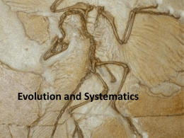 Evolutionary Theory - Susquehanna University