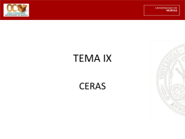TEMA IX - OCW — Portal de contenidos y cursos abiertos …