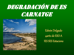 DEGRADACION - IES Ses Estacions