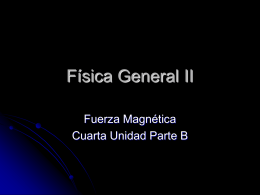 Fuerza Magnetica