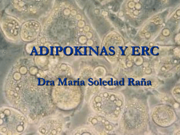 Adipokinas y ERC