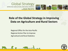 Role of the Global Strategy in Improving Data on