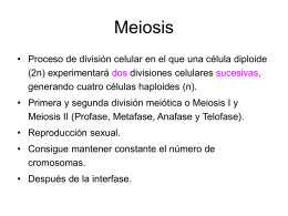 Meiosis