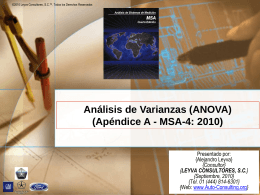 06 - MSA-4: 2010 - Auto Consulting