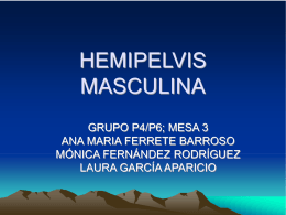 HEMIPELVIS MASCULINA