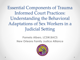 Essential Components of Trauma Informed Court Practices