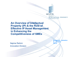 IP_ SMEs and Competitiveness - Najmia