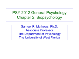 PSY 2012 General Psychology Chapter 2: Biopsychology