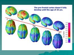A Guided Tour of the Adolescent Brain