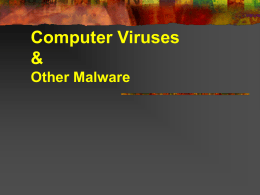 Computer Viruses & Other Malwares