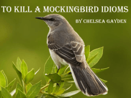To Kill A Mockingbird Idioms