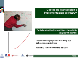 Transactions and implementation costs of REDD+