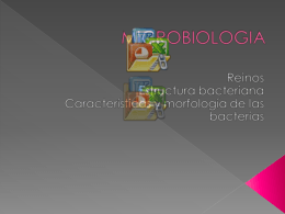 MICROBIOLOGIA - Pixelnet e