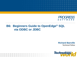 Beginners Guide to OpenEdge SQL